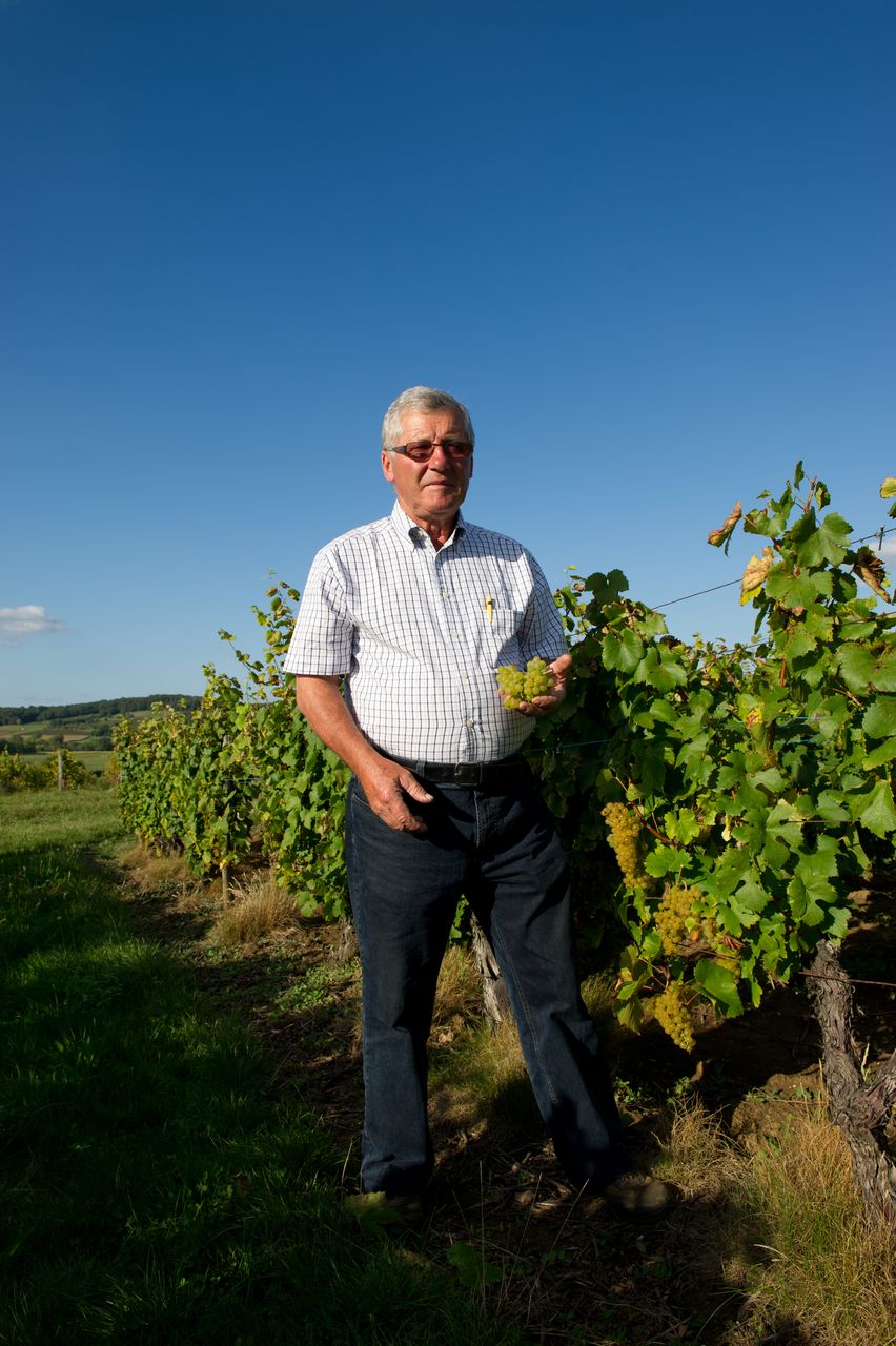 Vins Vigneron Pierre Rolet portraitPR-2